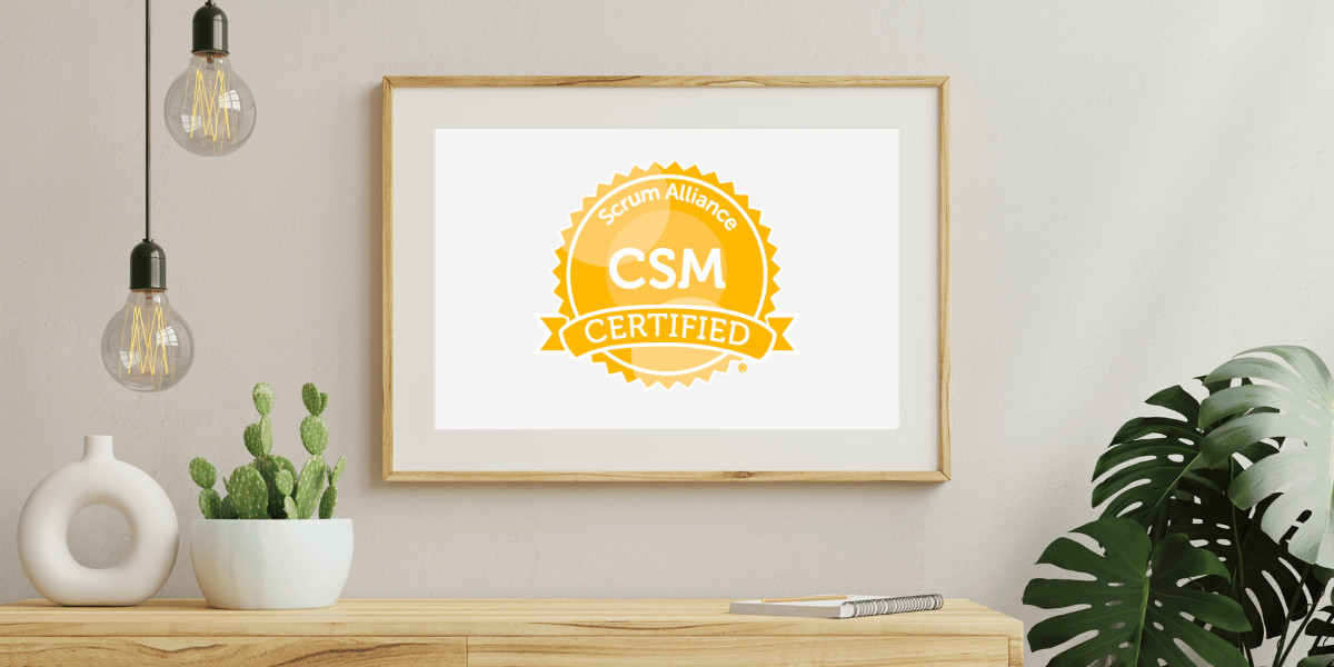 CSM-Frames-New-v2